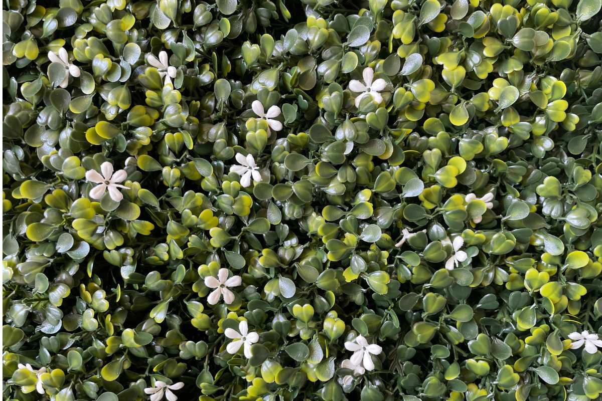 Tableau végétal en fausses plantes